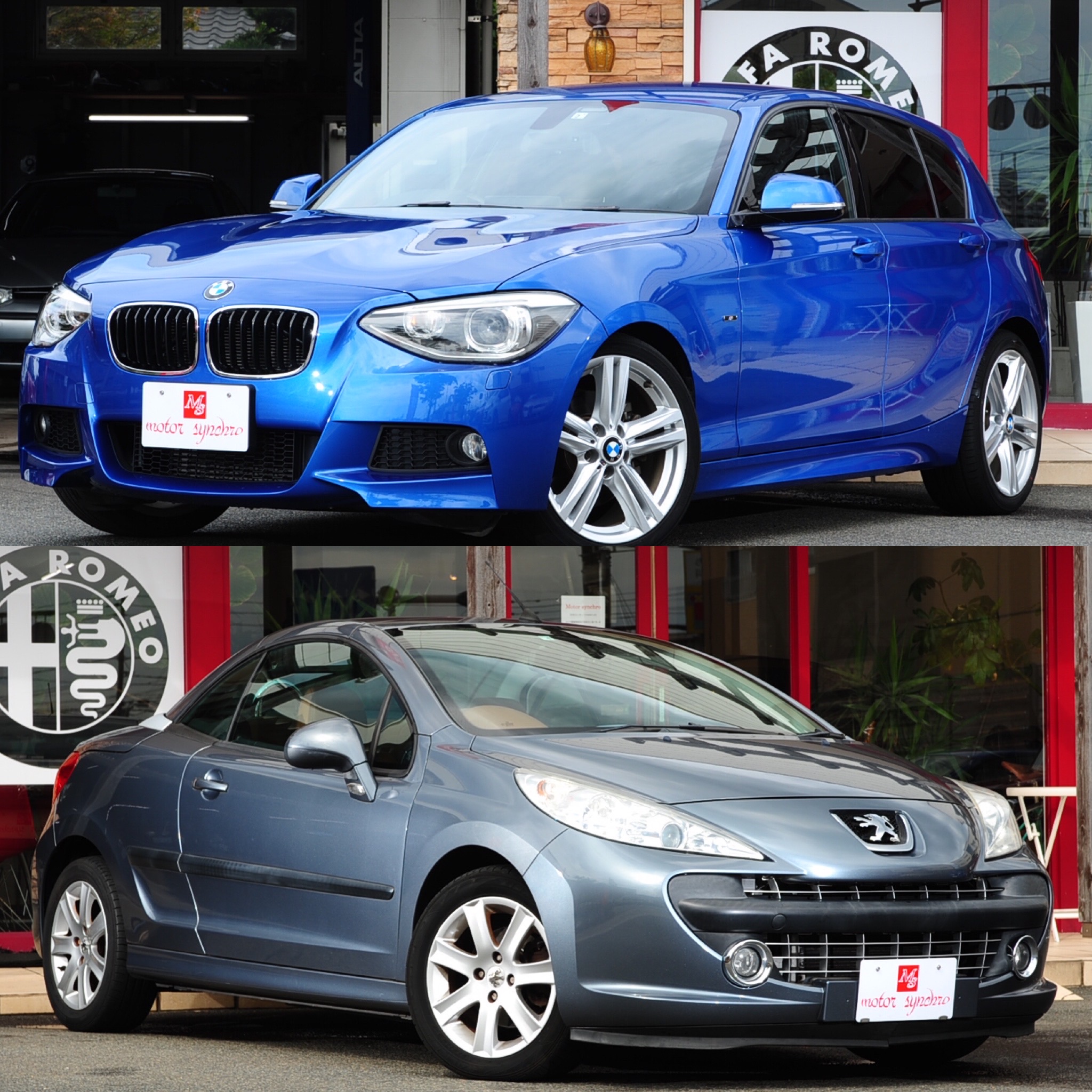 新しい入庫車の紹介♪ 新しい入庫車の紹介♪