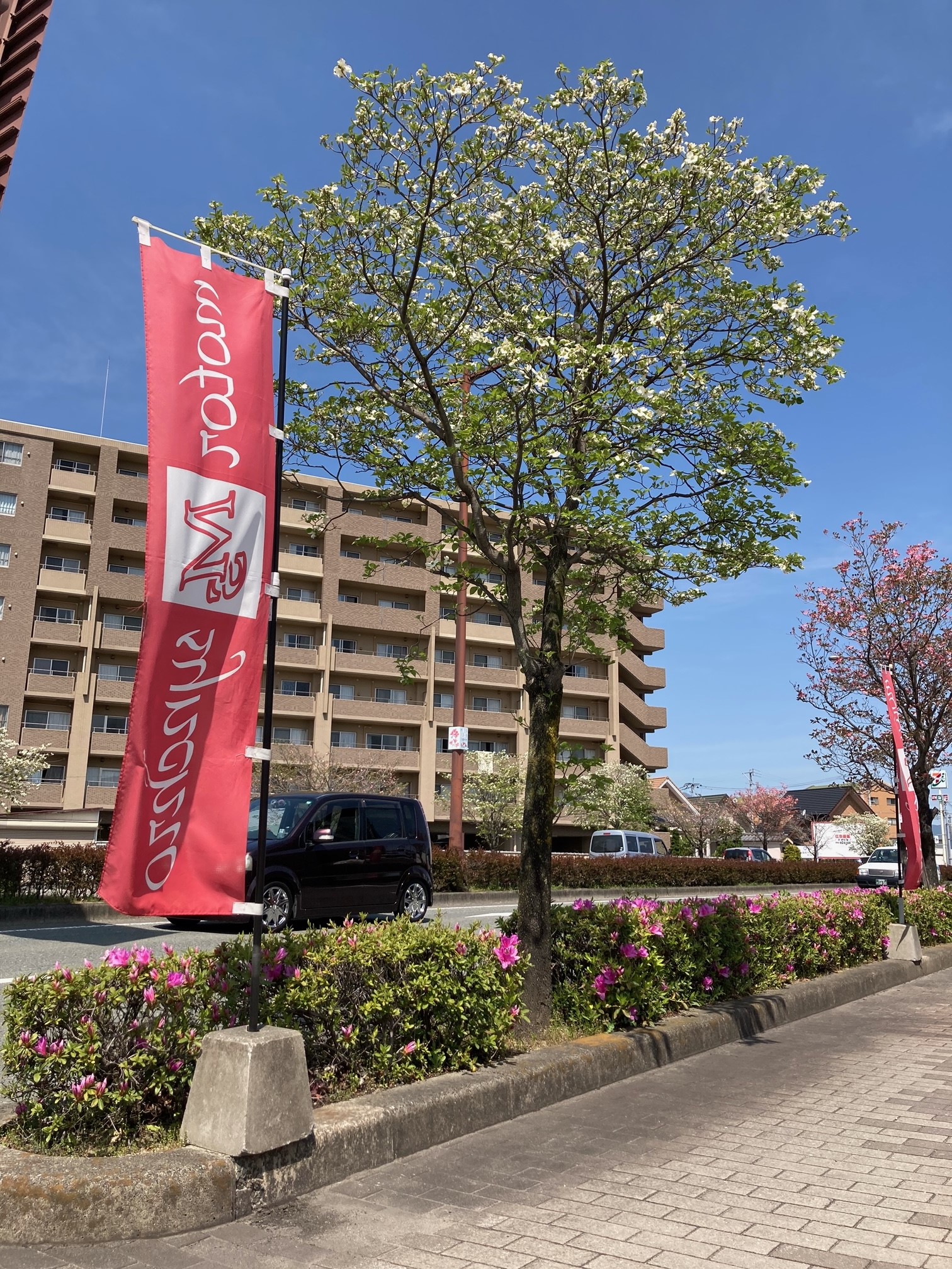 最近の出来事♪ 最近の出来事♪